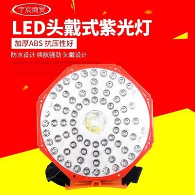 蝎子头戴式紫光两用强光专用新款豆虫灯高亮度蝎子灯锂电充电LED优惠商品图片