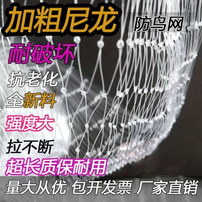 农用尼龙防鸟网防护隔离偷吃葡萄稻谷果树果园养殖鱼塘农田阳台