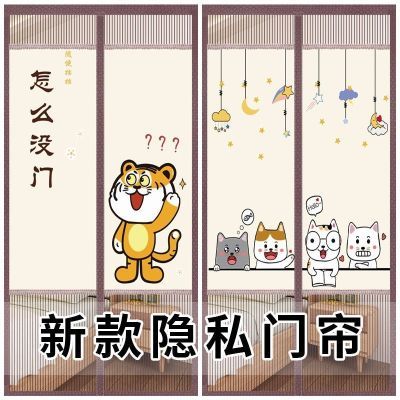 隐私门帘夏季防蚊打孔家用新款遮挡帘子磁性纱门纱窗魔术卧室隔断