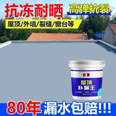 屋顶永久性漏水补漏防水裂缝渗水外墙建材楼房农村房顶防水涂料