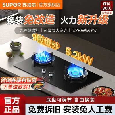 ڲղȼ˫5.2KWɵڵ˫ͷǻԧ̨PB33568Ԫ