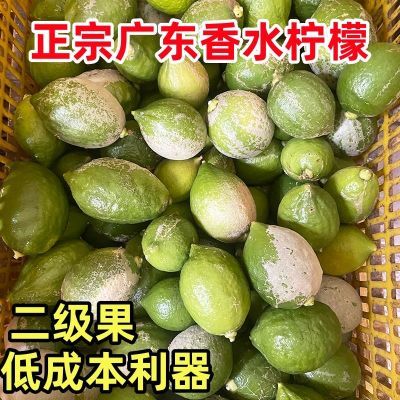 正宗广东香水柠檬二级果青黄果无籽新鲜水果奶茶店专用商用批发