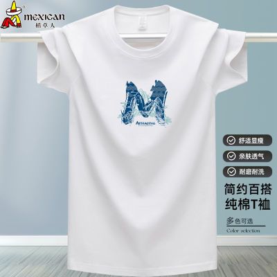 稻草人短袖纯棉圆领半袖夏季体恤男士宽松大码男装潮流青年T恤装