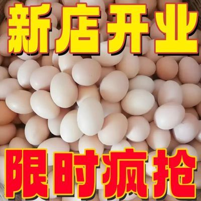 正宗散养新鲜农家整箱60g大个鸡蛋新鲜营养红心土鸡蛋受精柴鸡