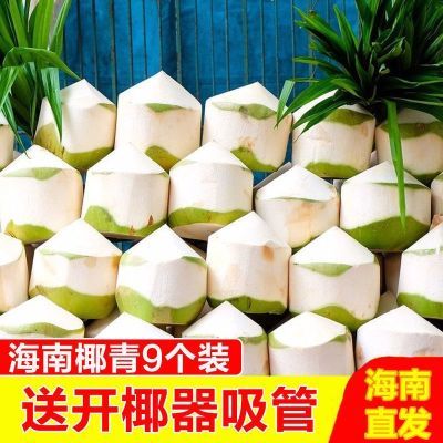 海南椰子现摘椰青当季水果小孩新鲜椰子孕妇椰子鸡