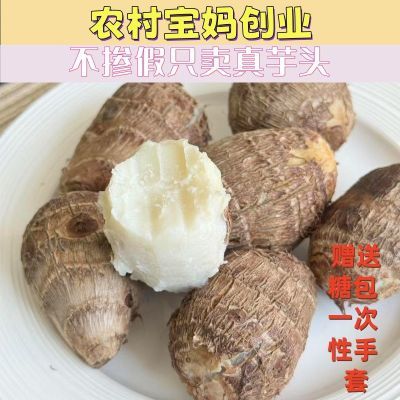 山东牛奶小芋头现挖新鲜农家芋头新鲜蔬菜应季芋艿糯正宗香芋