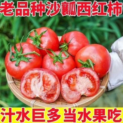 【自然熟】云南西红柿沙瓤新鲜生吃番茄现摘水果自然季整箱蔬菜