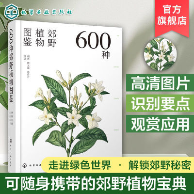 ڲ600ֽҰֲͼ ͼ֦Ҷ ԰԰վ۷羰ʶ45.5Ԫ