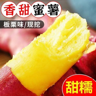 正宗榴莲蜜薯红薯新鲜现挖软糯香甜糖心丝滑超甜地瓜山芋番薯5斤