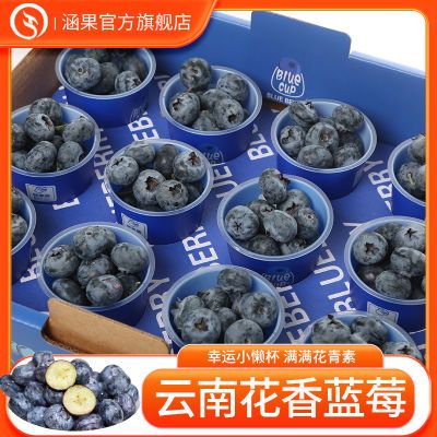 涵果云南花香蓝莓高海拔蓝莓小懒杯脆甜精美礼盒彩箱