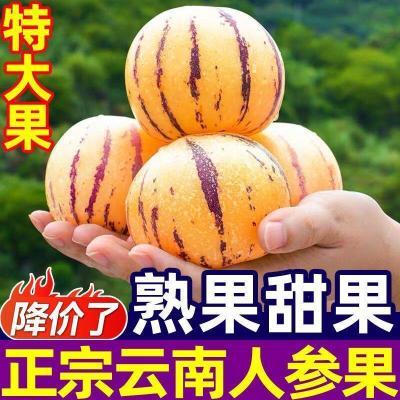 正宗云南石林人参果新鲜应季树上黄肉黄心大果水果整箱批发清仓价