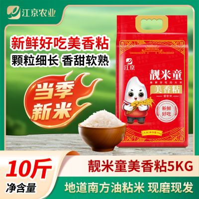 江京靓米童美香粘5kg优质油粘米韶关油粘米香软可口灿米25年新米