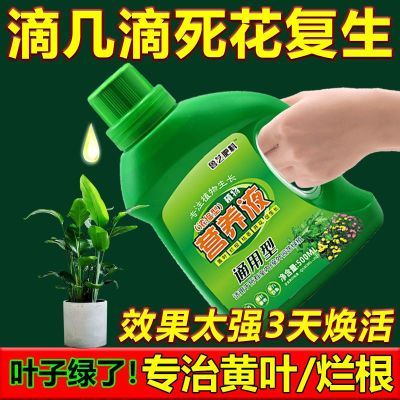 超浓缩植物营养液花肥通用化肥料家用绿植盆栽绿萝叶黄万能富贵竹