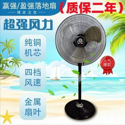 赢强/盈强电风扇家用地扇强力铁叶大风金属纯铜线电机落地扇
