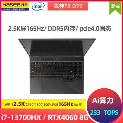 ڲսT8D73i7-13700HXRTX40602.5K165HzˢϷ5399Ԫ