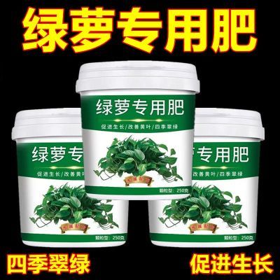 【绿萝专用肥料】预防黄叶促长藤家用缓释肥水培水养通用型有机肥