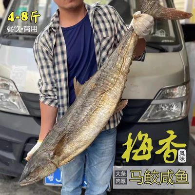 梅香咸鱼广东咸鱼梅香大条马鲛鱼台山海产正宗马胶梅香马交商用