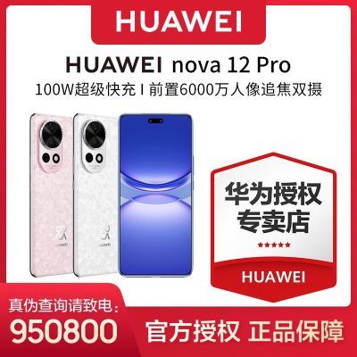 Ϊnova12 Proǰ6000˫ֻ100wǻͨ6.76Ӣ1909Ԫ