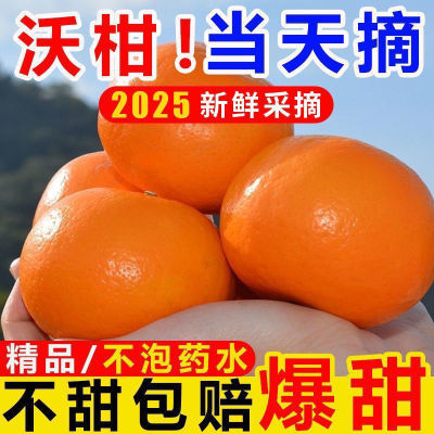 产地直发广西正宗象州(有机)沃柑橘子应季水果超甜新鲜柑橘整箱