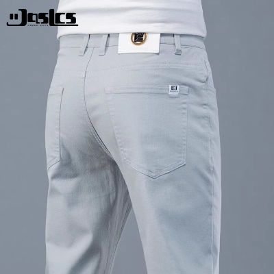 ڲJASLCS2025߶ļٴпǳɫţп¿ֱͲ99Ԫ