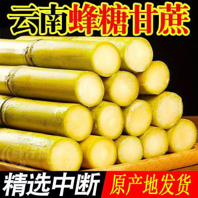 【爆甜】黄金甘蔗中段正宗云南特产现砍黄皮青皮手撕薄皮新鲜直发