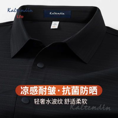 ڲпɹLifeı͸POLO99Ԫ
