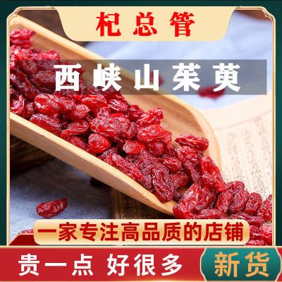 正品野生河南西峡山茱萸肉泡水喝中药材无核纯肉山茱萸特级一等品