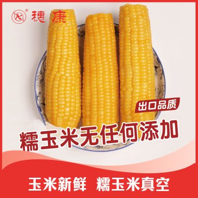 穗康糯玉米真空包装10根新鲜即食甜糯黏玉米正宗早餐粗粮代餐