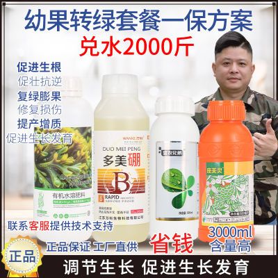 宜农兄弟幼果转绿膨大营养方案促进发育绿果绿叶加快膨果果柄增粗