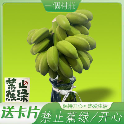 ڲֹСƻŽ㽶칫ˮ5ֲ廨13.9Ԫ
