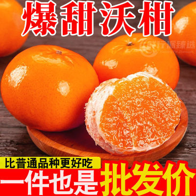 【精选】高山沃柑新鲜现摘应季水果薄皮柑橘子大果批发非广西武鸣