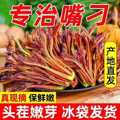 【冰袋保鲜】正宗四川香椿芽新鲜嫩芽头茬红油香椿野生绿色环保