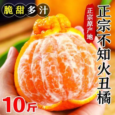 10斤正宗不知火四川丑八怪丑橘新鲜孕妇水果整箱非耙耙柑批发包