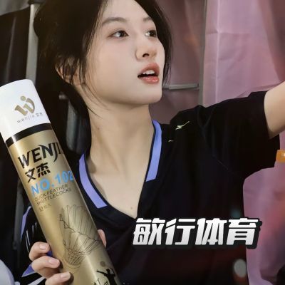 文杰102羽毛球飞行稳定耐打王球馆训练比赛用球12只装
