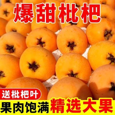 【新客立减】四川大五星枇杷新鲜水果当季米易孕妇枇杷琵琶甜枇杷