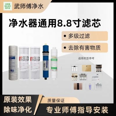 8.8寸净水器滤芯8.8英寸PP棉UDF活性碳滤芯CTO压缩碳滤芯22cm