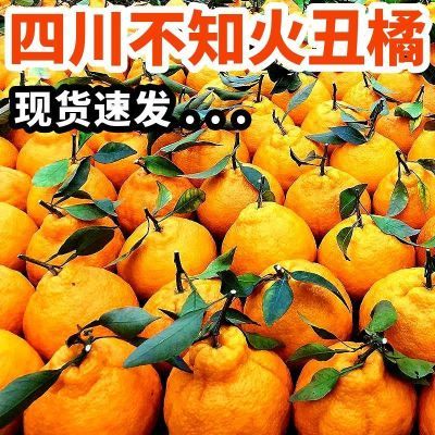 【产地直发】正宗四川丑橘不知火新鲜应季水果5-9斤