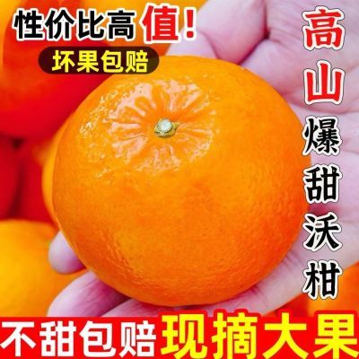 2025精选沃柑新鲜应季高山水果薄皮柑橘子大果批发