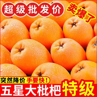 【超级补贴】正宗蒙自枇杷鲜果新鲜水果大五星琵琶超甜大果批发价