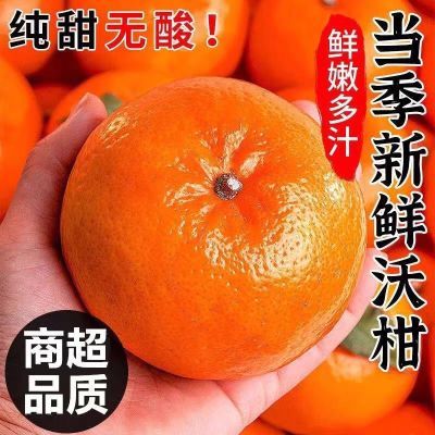 2025精选沃柑新鲜应季高山水果薄皮柑橘子大果批发