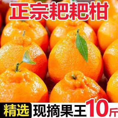 正宗丑橘四川粑粑柑不知春见新鲜水果应季柑橘当季整箱橘子桔春见