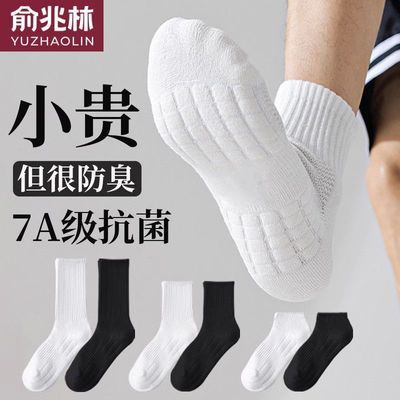俞兆林长筒毛巾底袜子男春季运动中长筒袜吸汗减震护跟防臭篮球袜