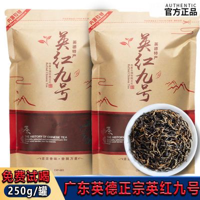 广东英德英红九号正宗红茶浓香2026新茶浓香型高山红茶金骏眉红茶