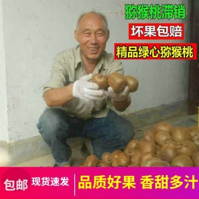 【优等品】陕西绿心猕猴桃9斤1斤新鲜周至奇异果非黄心红心水果