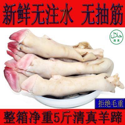 清真散养羊蹄带筋蹄子中号整箱羊脚生鲜烧烤商用新鲜食材批发筋多