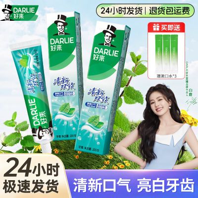 DARLIE好来(原黑人)牙膏双效薄荷200g*2支清新口气