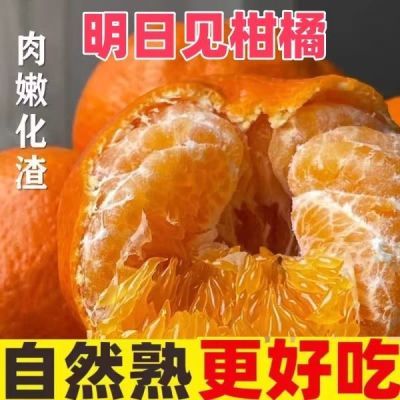 【新品上市】明日见柑橘皇后阿斯蜜橘子新鲜孕妇高端水果甜非甘平