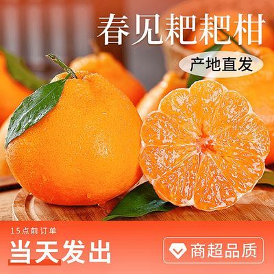 【包邮到家】四川正宗春见耙耙柑丑粑粑柑薄皮甜橘子水果代发批发