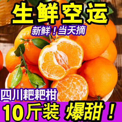 四川春见耙耙柑正宗丑橘子当季新鲜水果整箱不知火丑八怪桔子批发