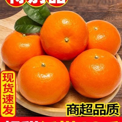 云南高山沃柑超甜橘子当季新鲜沙糖蜜桔子时令柑橘水果带带花皮